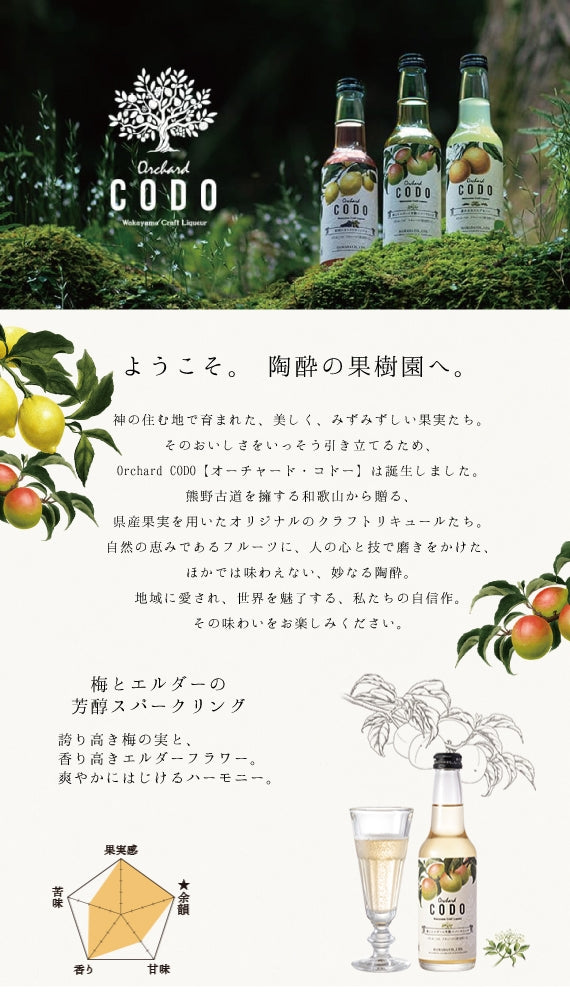 【orchard CODO】梅とエルダーの芳醇スパークリング　275ml　微炭酸リキュール