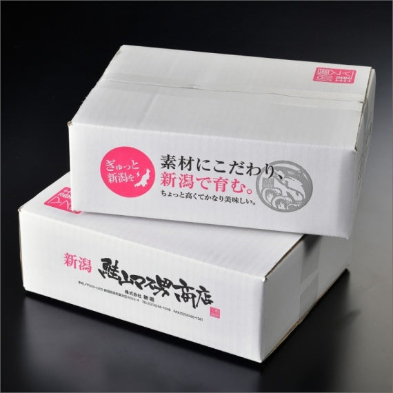 銀鮭コシヒカリ塩麹漬 24切