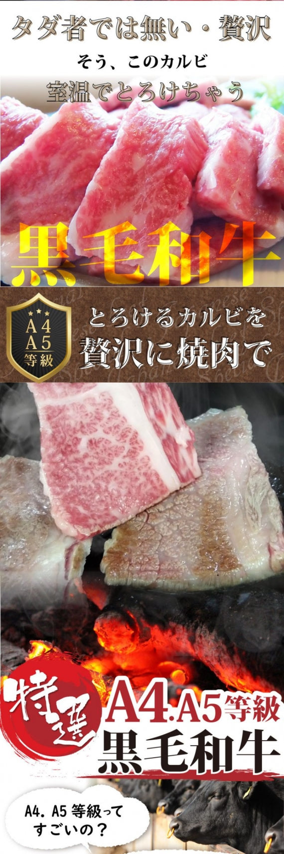 牛肉 肉 特選 黒毛和牛 カルビ 焼肉 A4,A5ランク 250g グルメ お歳暮 ギフト 食品 プレゼント 女性 男性 お祝い 新生活
