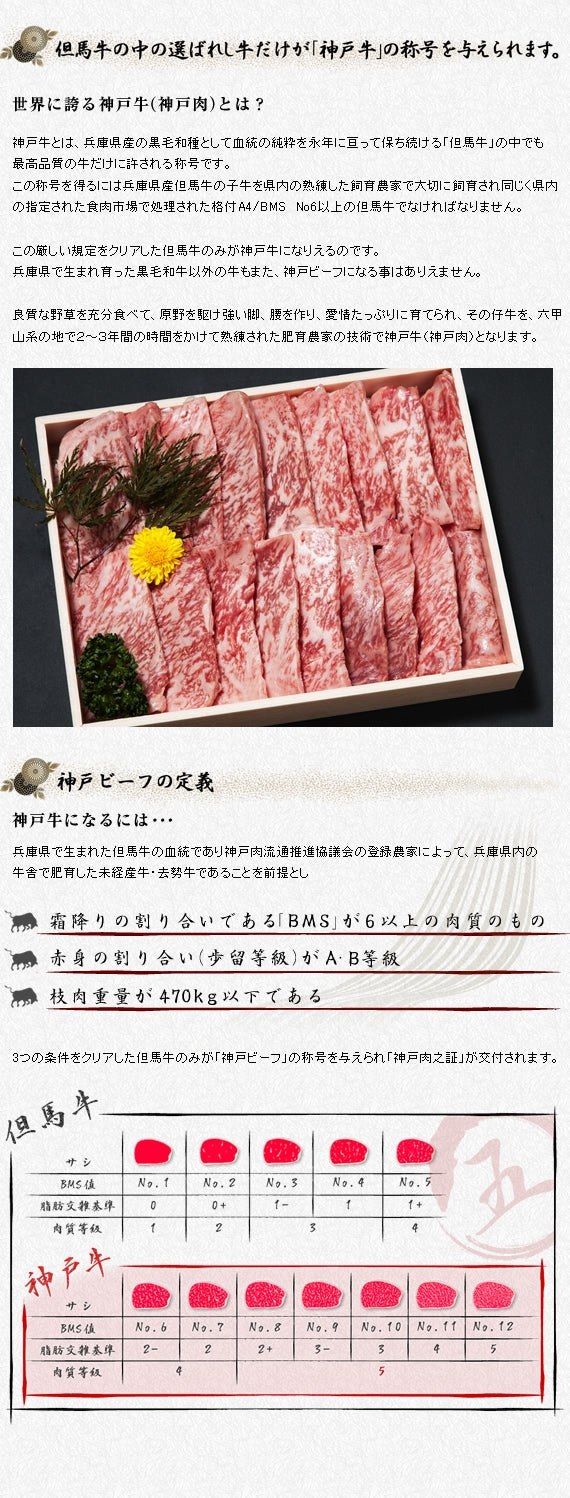 【神戸牛】特選ロース焼肉 500g【贈答】【お祝い】