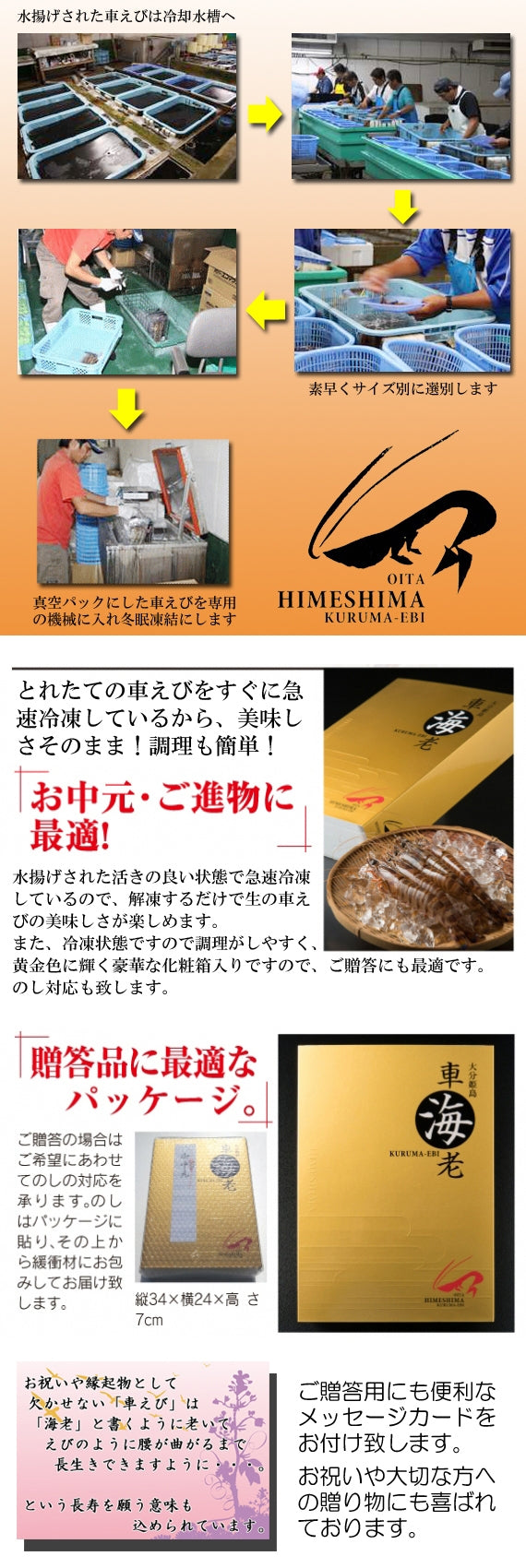 お刺身でも食べられる！姫島ブランド 活〆車えび 200g（5～15尾)