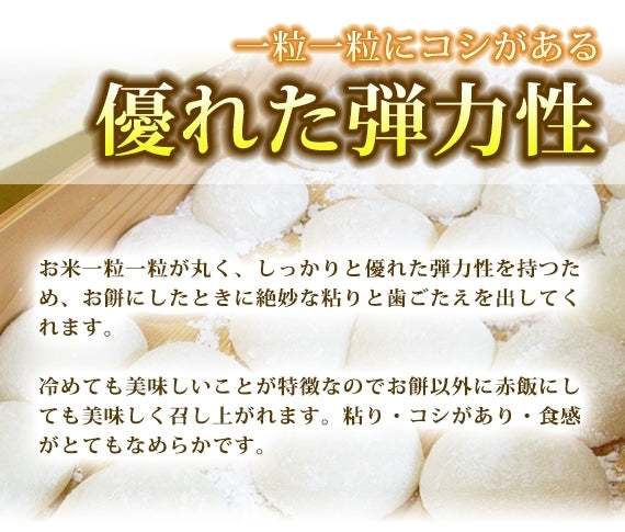 【お試し品】茨城産もち米　一等米使用 2キロ 1580円　送料無料