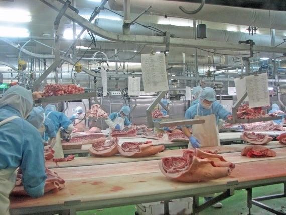 【ご自宅用】鹿児島県産黒豚便利な3種類(ロース・モモ・ミンチ)1.5kg