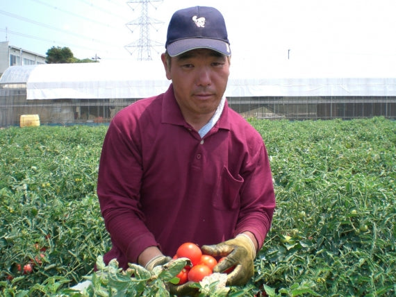 愛知県産トマト100％使用トマトケチャップ３００ｇ