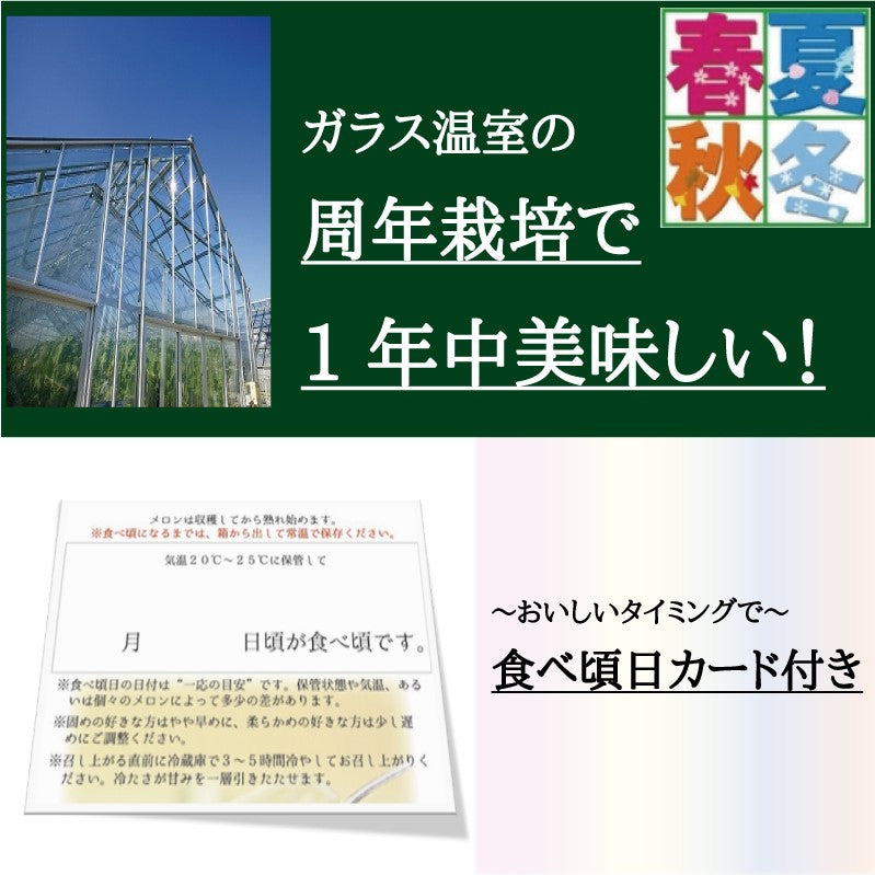 ＜ワケあり家庭用※訳あり品カード入り＞クラウンメロン　Sサイズ２玉　【送料無料】