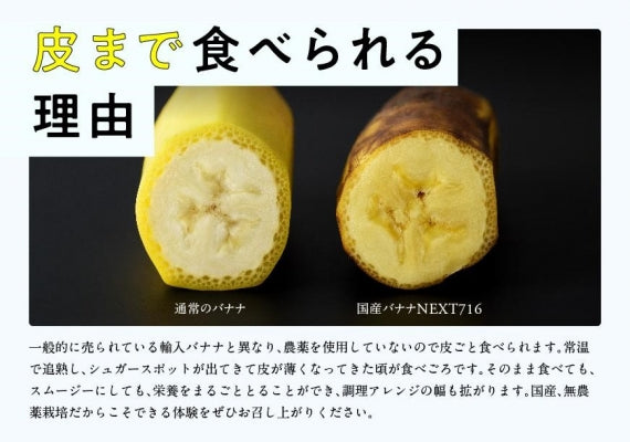 皮まで食べれる！無農薬栽培の国産バナナ（レギュラーサイズ6本）