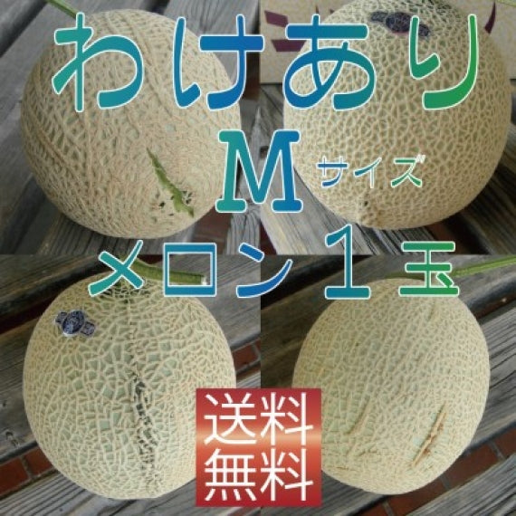 <家庭用※訳あり品カード入り>クラウンメロン Mサイズ1玉 【送料無料】