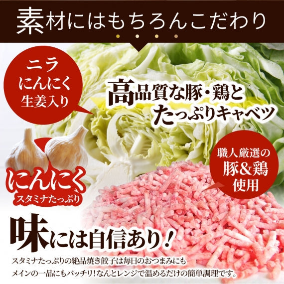 餃子 ギョウザ ギョーザ レンジ調理 中華 40個入り 1kg 点心 中華料理 惣菜 クリスマス 冷凍 お弁当 あすつく 業務用 温めるだけ レンチン 冷食 送料無料