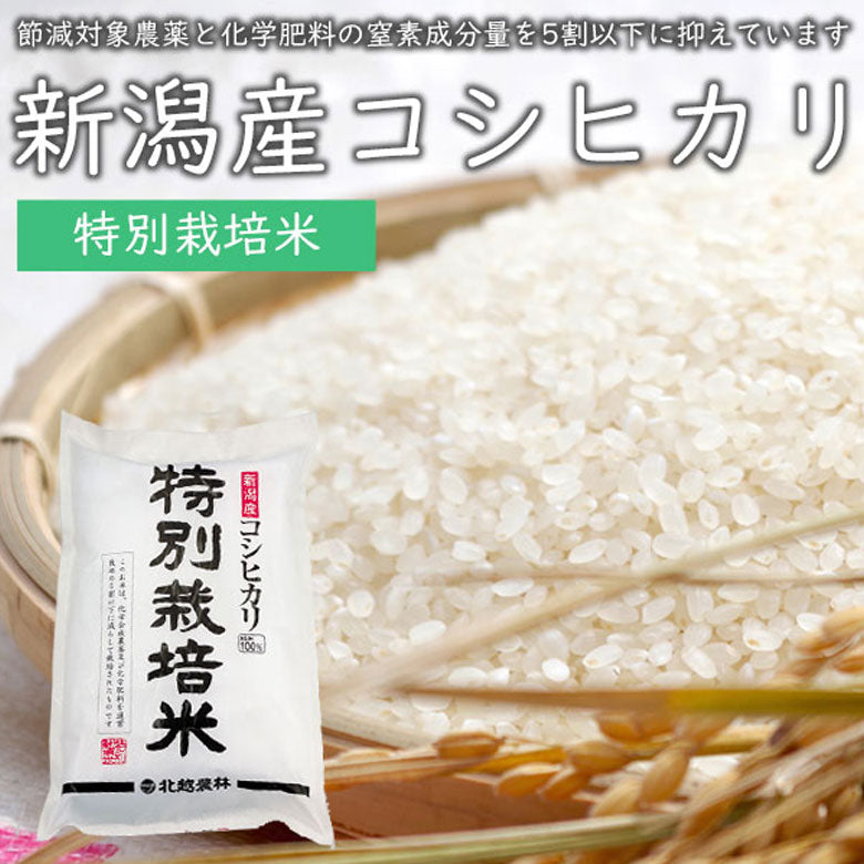 令和5年度　新米　新潟県産コシヒカリ　20㎏