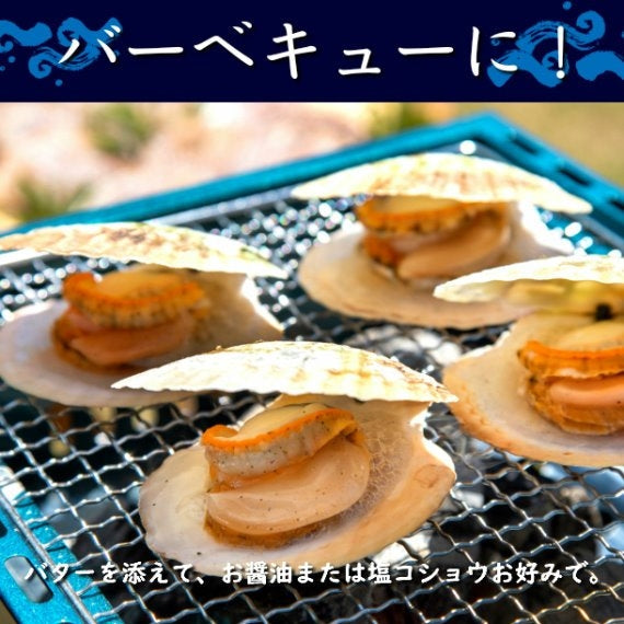 青森県むつ湾産活ほたて Lサイズ 2kg(11~14枚)