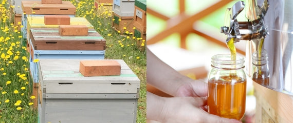 万花蜜(里山の春) 120g