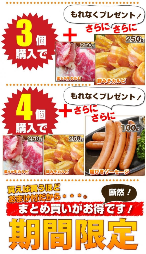 焼肉 セット 牛肉 肉 焼肉 メガ盛り行楽 BBQセット 福袋 2kg超 カルビ お歳暮 ギフト 食品 プレゼント お祝い キャンプ キャンプ飯