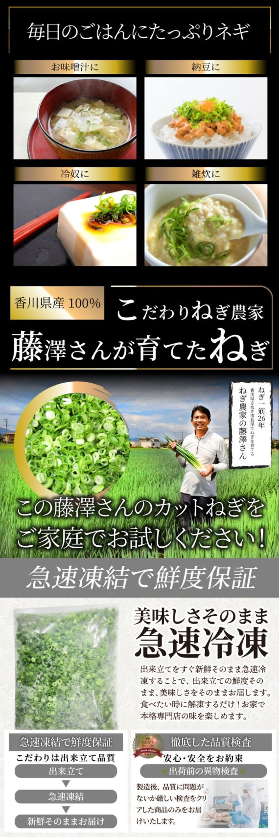 カットねぎ 500g ねぎ ネギ 藤澤さん家のカットねぎ 葱 冷凍 とれたてネギ 香川県産 冷凍野菜 時短 料理 簡単調理 包丁いらず