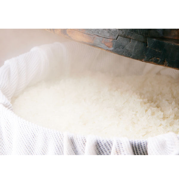 もち米 新潟産 こがねもち5kg(1kg×5袋) 令和5年産 送料無料 もち米 抜群の粘り、コシ、風味があります