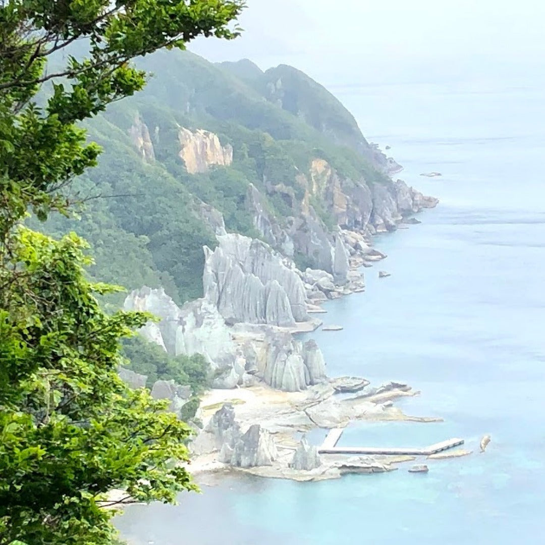 佐井村ホップ入りハーバリウムキット