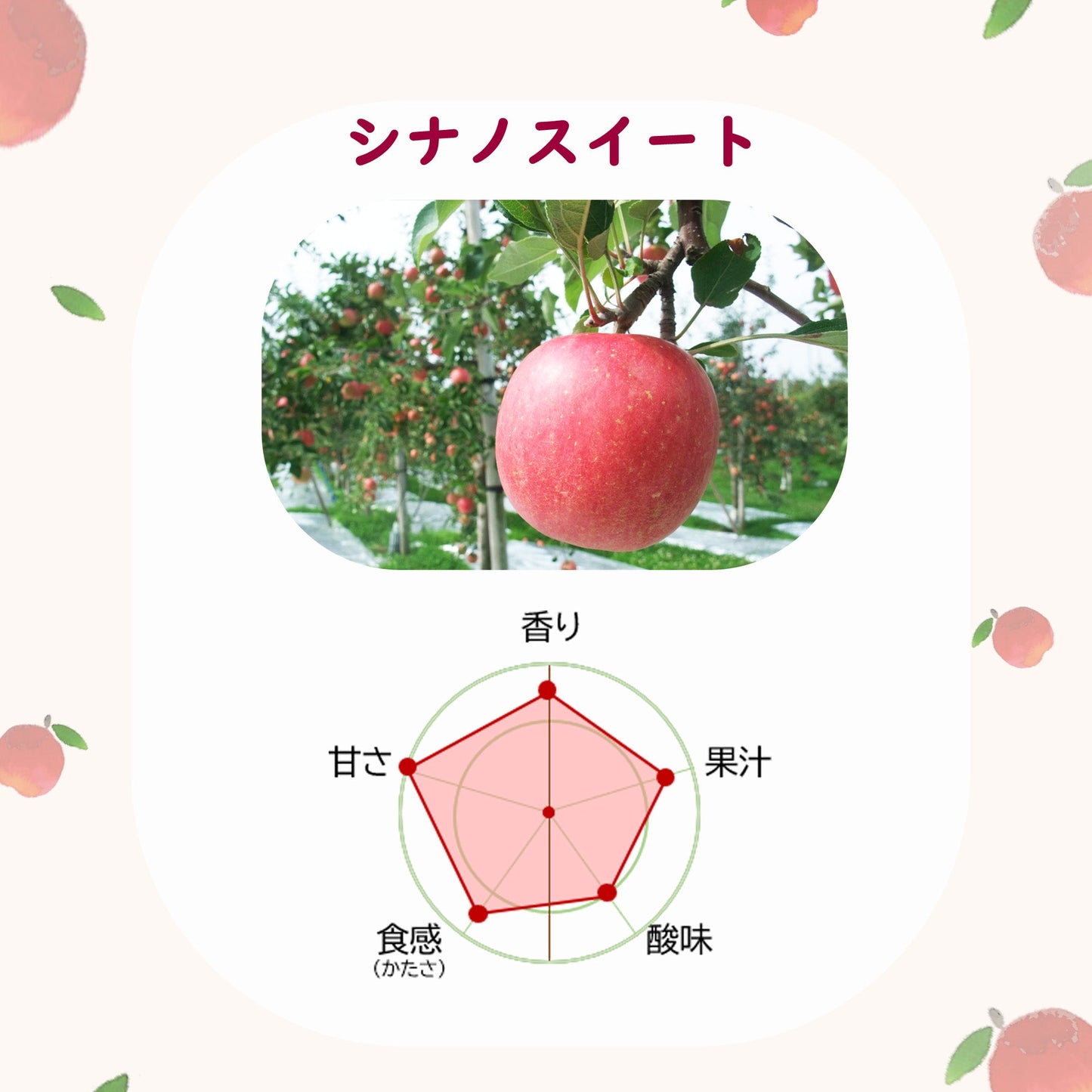 シナノスイート【送料込】【訳あり】【りんご】【青森県産】【タムラファーム2025】【葉っぱとらじろう】【期間限定】