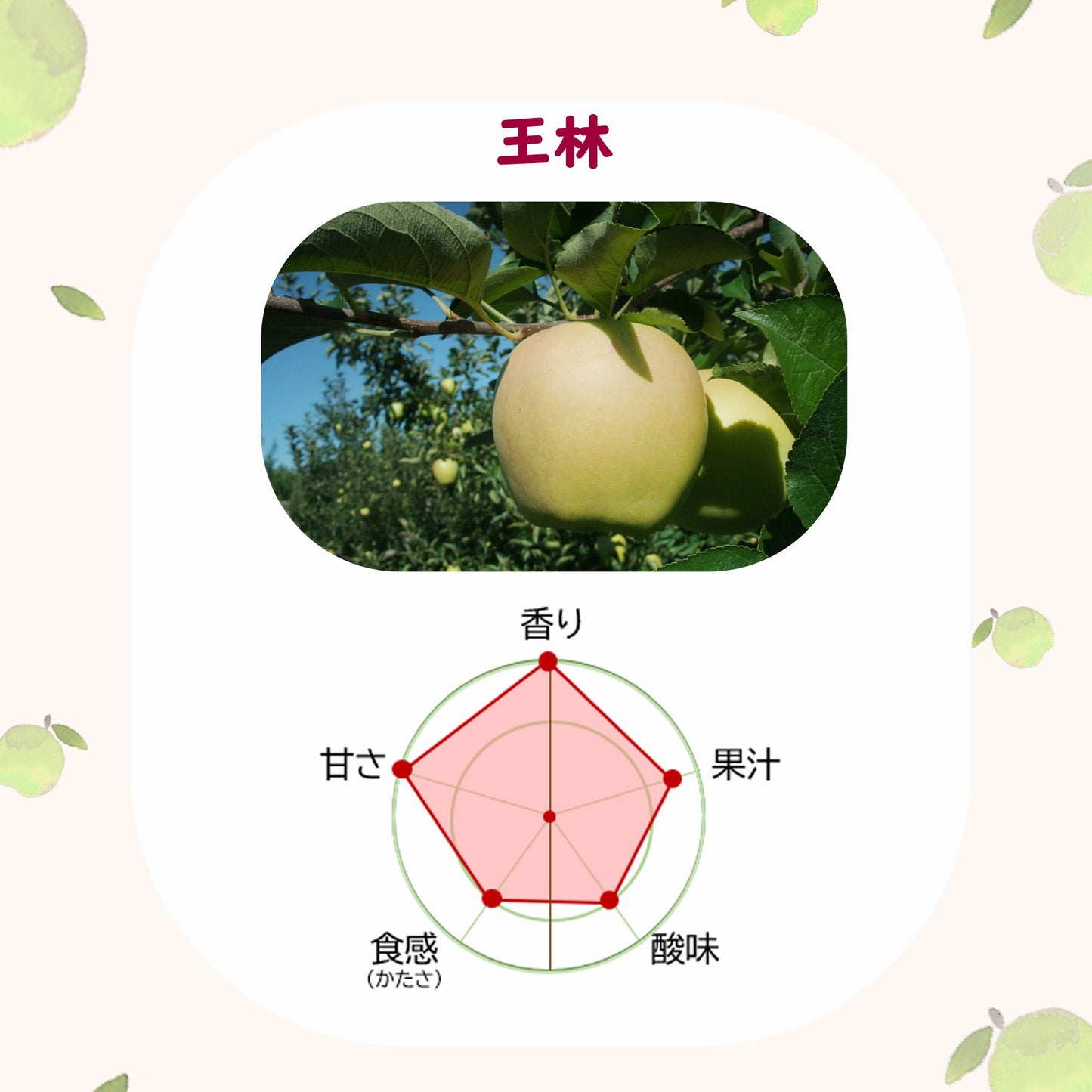 王林りんご【送料込】【12月上旬から】【りんご】【青森県産】【タムラファーム2025】【葉っぱとらじろう】【期間限定】