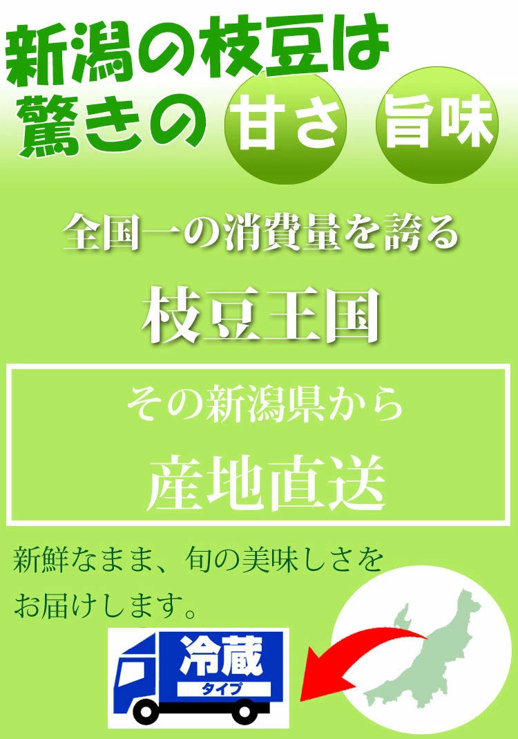 新潟枝豆 黒埼産くろさき茶豆1.2kg(600g×2袋) 枝豆 朝採り 新鮮 お取り寄せグルメ【8月出荷】【送料無料】【米・野菜・惣菜】