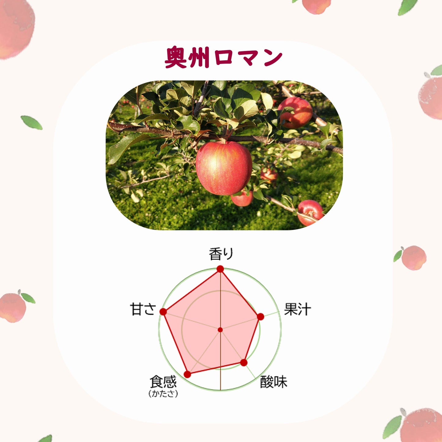 奥州ロマン【送料込】【りんご】【青森県産】【タムラファーム2025】【葉っぱとらじろう】【期間限定】