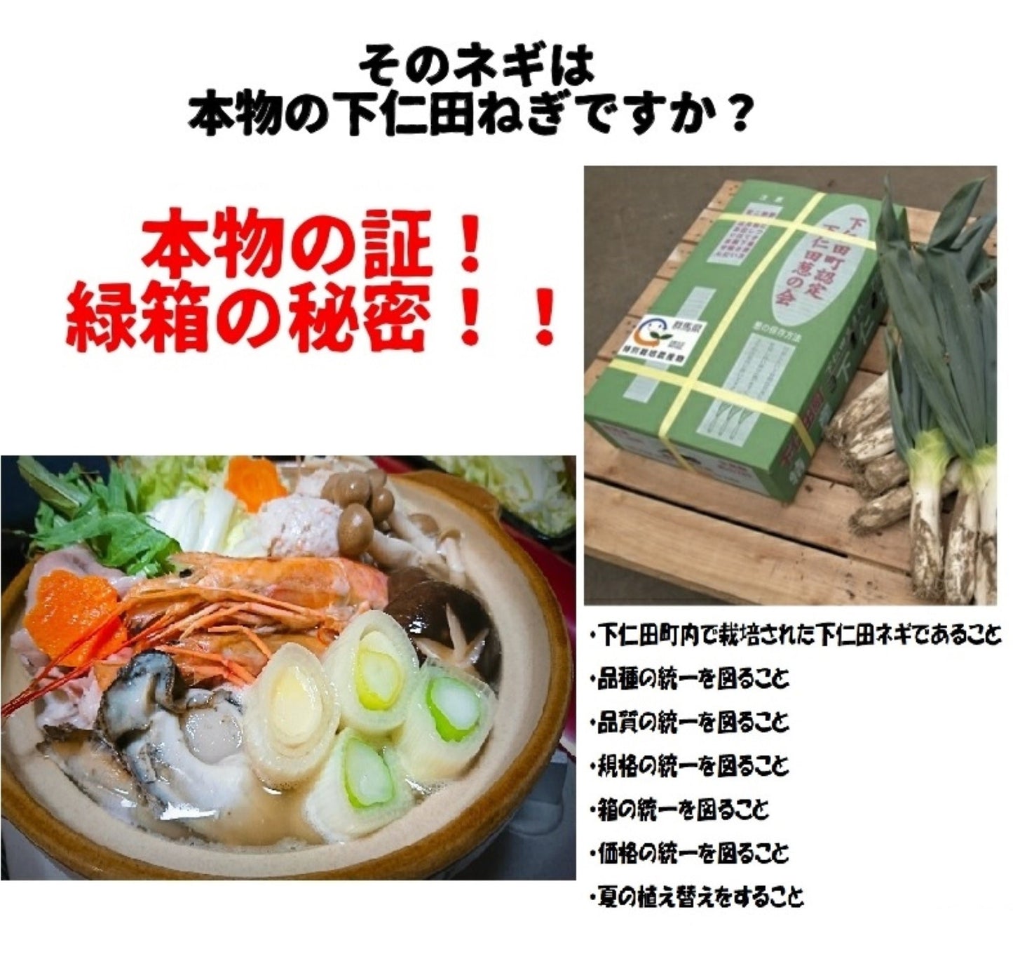 大好評！ 群馬県下仁田産【瀬間さんちの下仁田ネギ】(約15本）冬の味覚殿様ネギを数量限定で