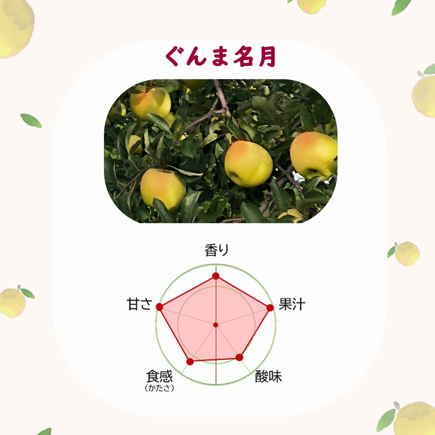 ぐんま名月りんご【送料込】【11月上旬頃】【りんご】【青森県産】【タムラファーム2025】【葉っぱとらじろう】【期間限定】