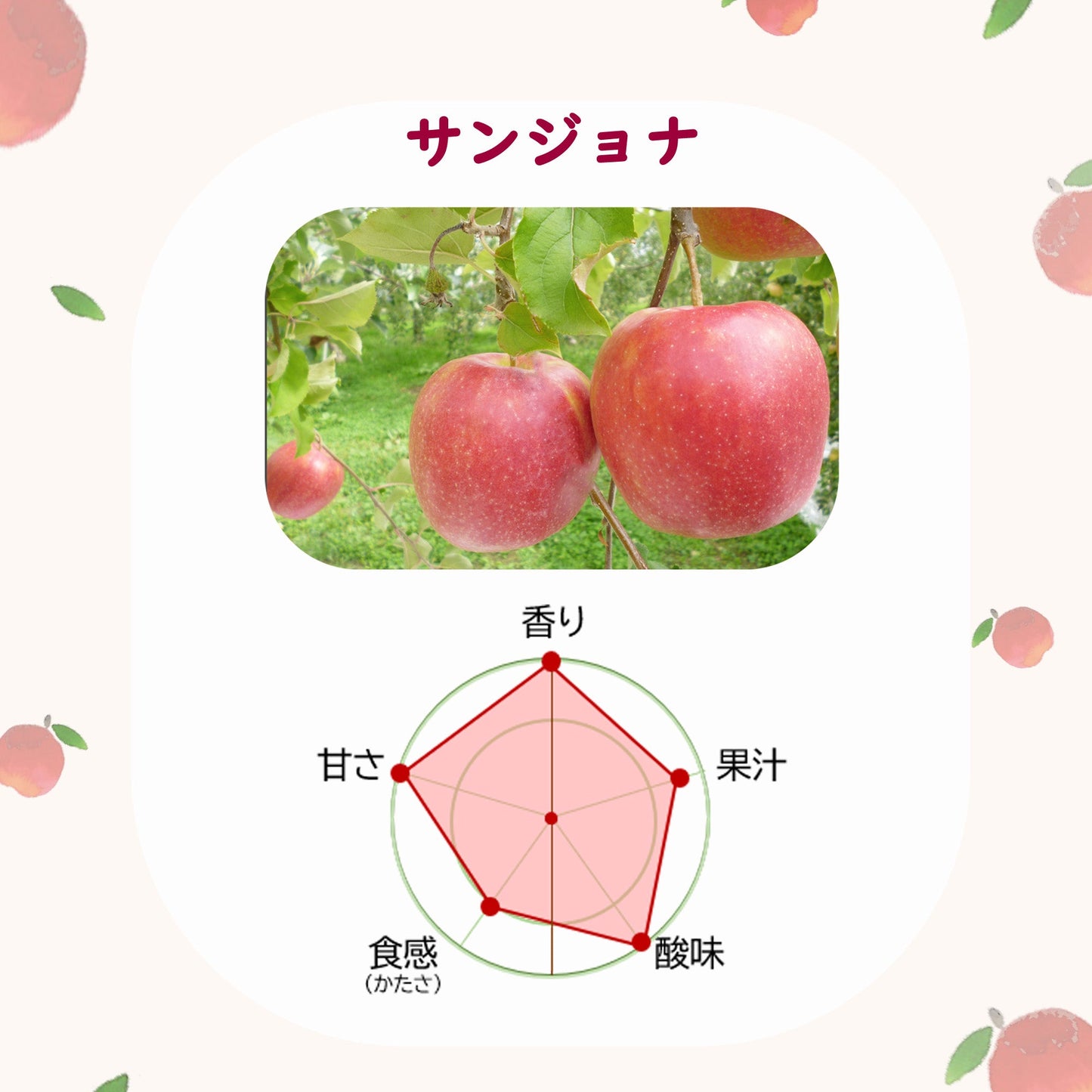 サンジョナゴールドりんご【送料込】【りんご】【青森県産】【葉っぱとらじろう】【期間限定】