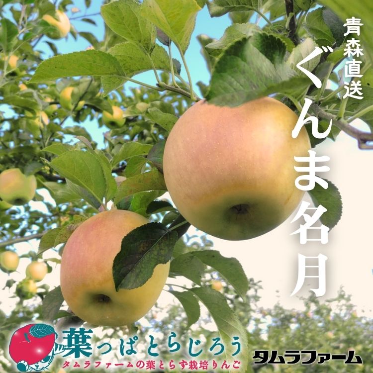 ぐんま名月りんご【送料込】【11月上旬頃】【りんご】【青森県産】【タムラファーム2025】【葉っぱとらじろう】【期間限定】