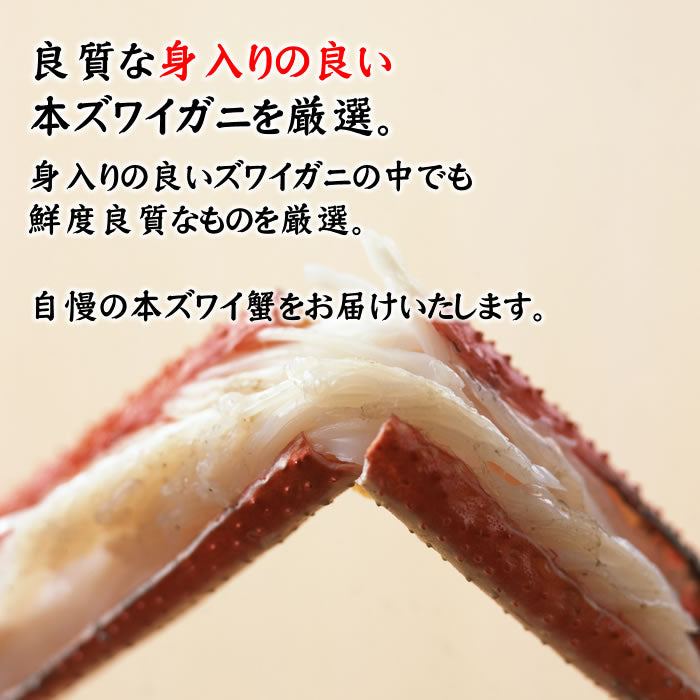 【感謝セール】本ずわい蟹 姿ボイル900g前後（送料無料※沖縄は別途）