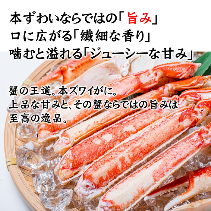 [再入荷!]本ずわい蟹 姿 ボイル800g前後(400g前後×2尾)（送料無料※沖縄は別途）