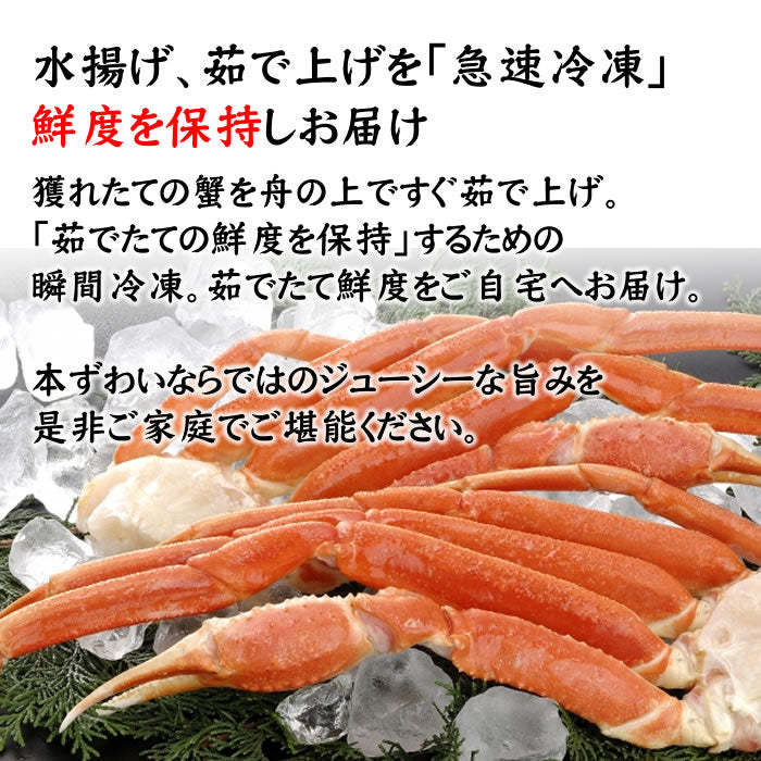 ラストセール【初売り】本ズワイがに脚ボイル 1kg前後(3肩)（送料無料※沖縄は別途）