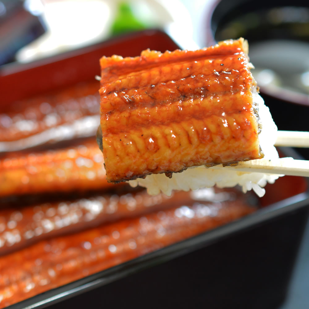 【5月7~13日ポイント7倍】【父の日】【国産】うなぎ蒲焼（タレ・山椒付） 3～5枚セット　送料無料（※沖縄・離島は別途）