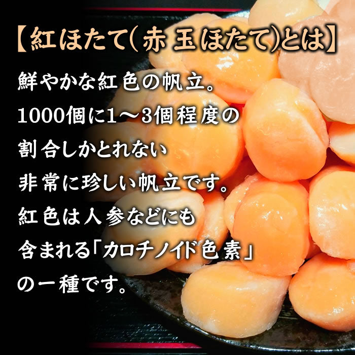 【希少な紅玉】北海道産お刺身用 紅ほたて貝柱１㎏（紅玉） 生ほたて ホタテ 帆立  貝柱 刺身 道産 北海道 貝 海鮮 贈り物 お取り寄せ　送料無料※沖縄は別途