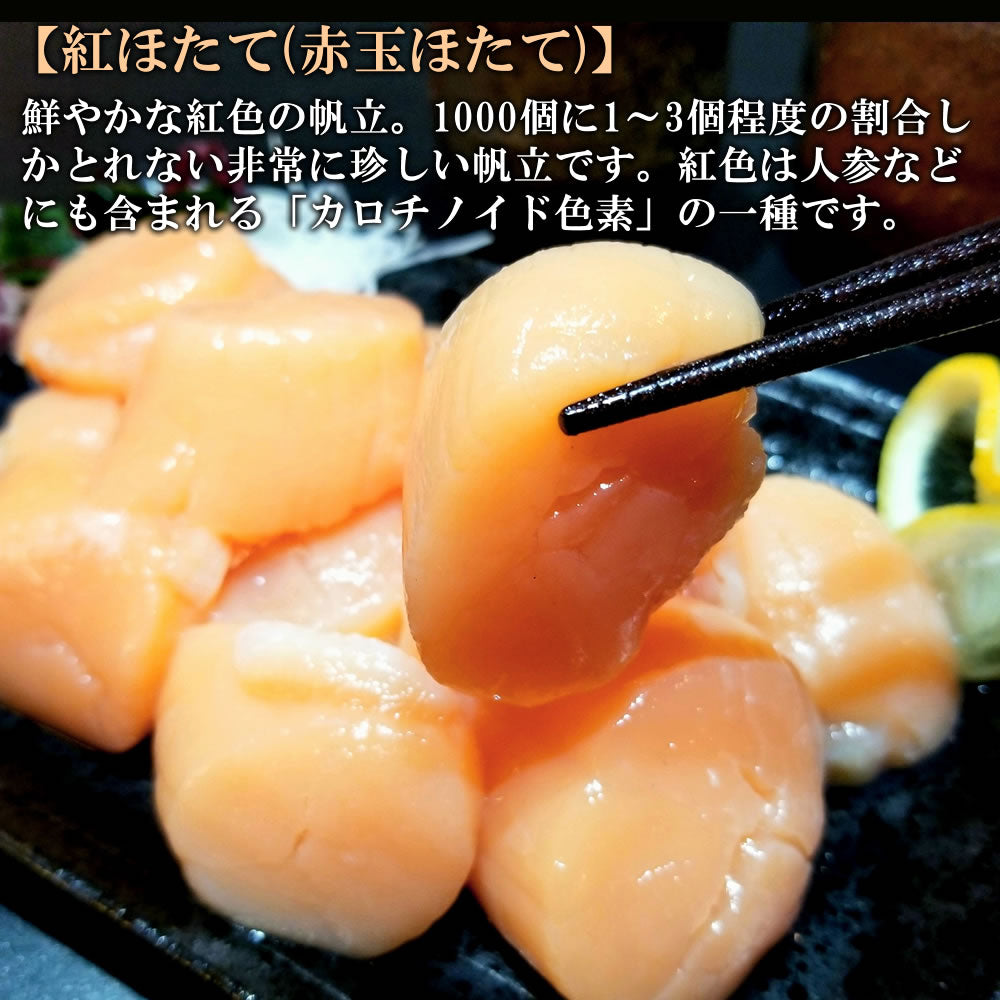 最終セール【希少・紅白帆立】北海道産お刺身用 紅白帆立1kgセット（紅ほたて500g+白ほたて500g（訳））特Aランク 送料無料※沖縄は別途