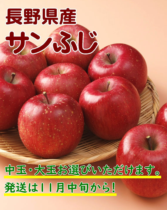【売り切れ】信州産りんご　サンふじ8㎏【お歳暮2024】【フルーツ】11月中旬から発送