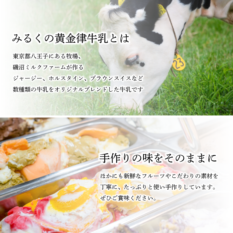 【お歳暮・冬ギフト】カップジェラート　6個セット（24冬）