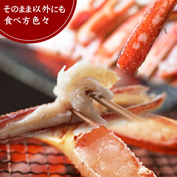完売]本ずわい蟹 姿 ボイル800g前後(400g前後×2尾)（送料無料