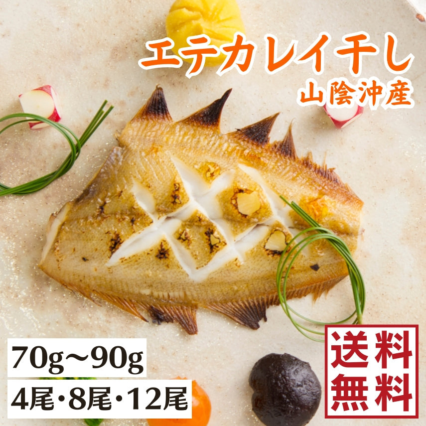 山陰沖産　エテカレイ干物【送料無料】