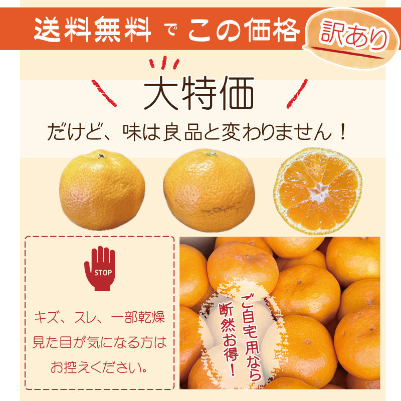 訳あり！ご自宅用みかん5㎏