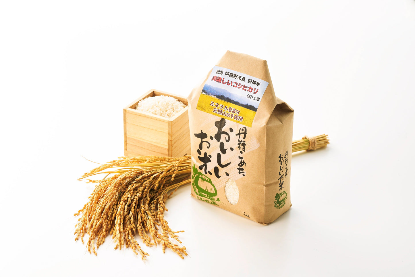 令和６年度産　新潟県産ささかみ米コシヒカリ　２ｋｇ