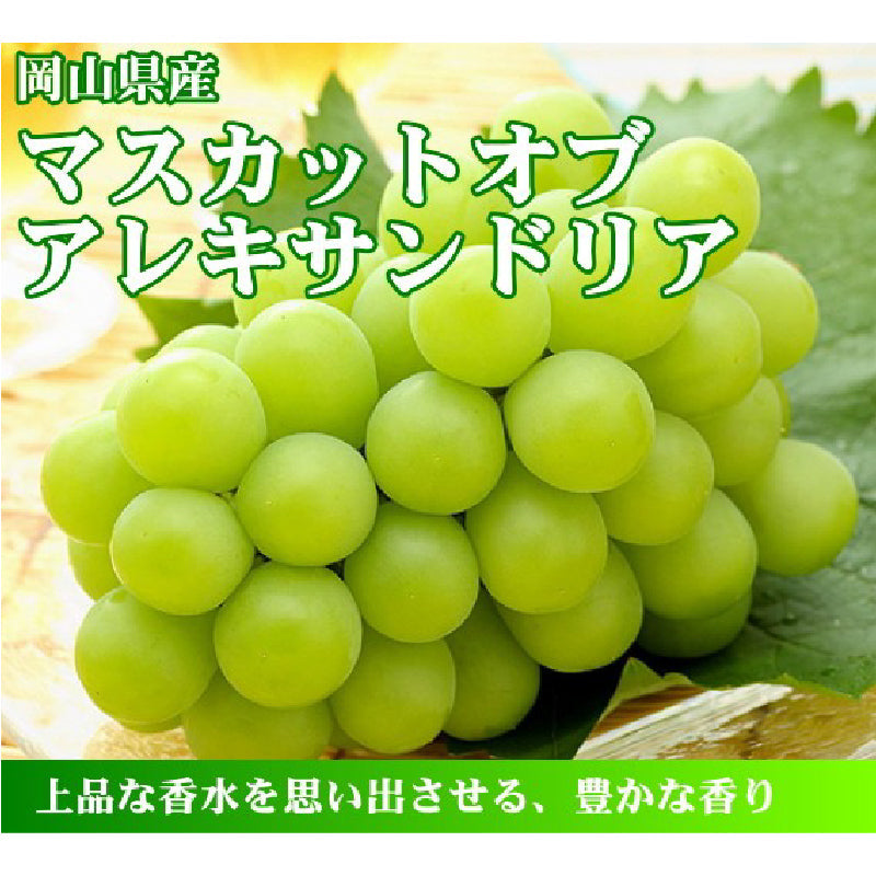 「晴れの国おかやまの隠れた逸品」岡山特産　黄金桃(3個～4個)とマスカットオブアレキサンドリア（1房）詰合せ【発送は8月下旬から】