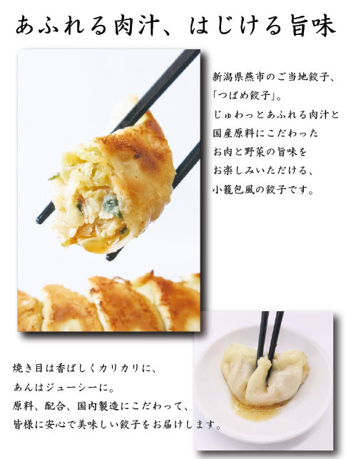 【御歳暮早割10％OFF】【1番人気！】【袋入り】つばめ餃子(ピリ辛＆辛味なし)各25個袋入り（計50個）セット【送料込み】