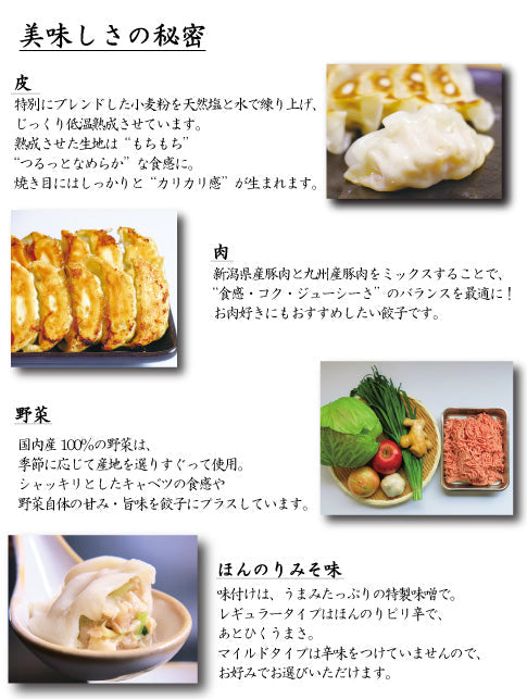 【御歳暮早割10％OFF】【2種食べ比べ】【タレなしでうまい！】つばめ餃子(ピリ辛・辛味なし)各20個（20個入り発泡スチロール×2）【送料込み】
