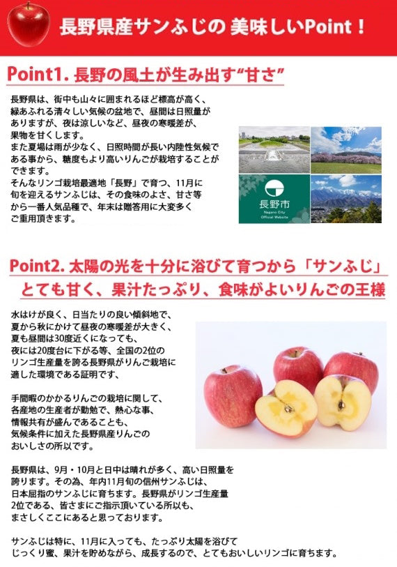 【売り切れ】信州産りんご　サンふじ8㎏【家庭用】（16～24玉）【フルーツ】※11月中旬から発送予定