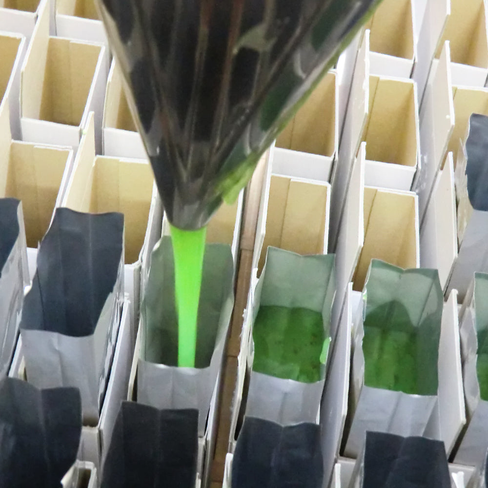 磯乃羊羹（2本/化粧箱入）