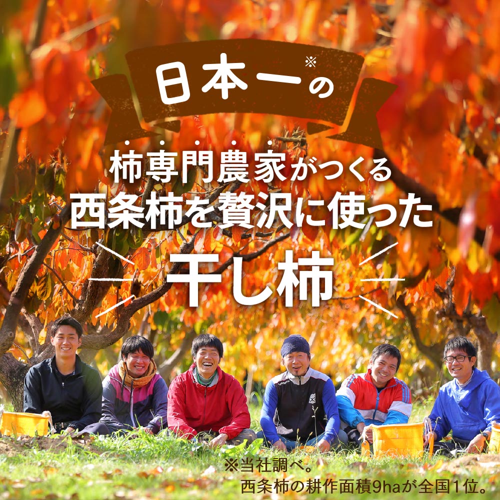 送料無料】柿農家「柿壺」西条柿の干し柿 お徳用 【ご注文確認後
