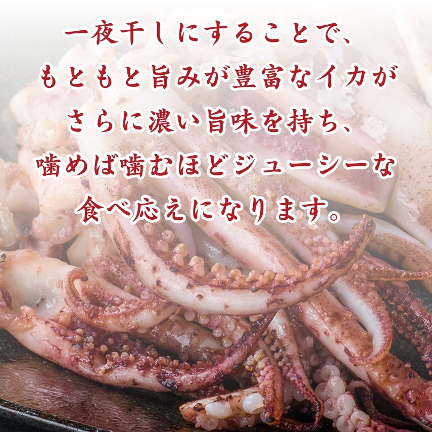 【送料無料】島根県産スルメイカ一夜干しゲソのみ