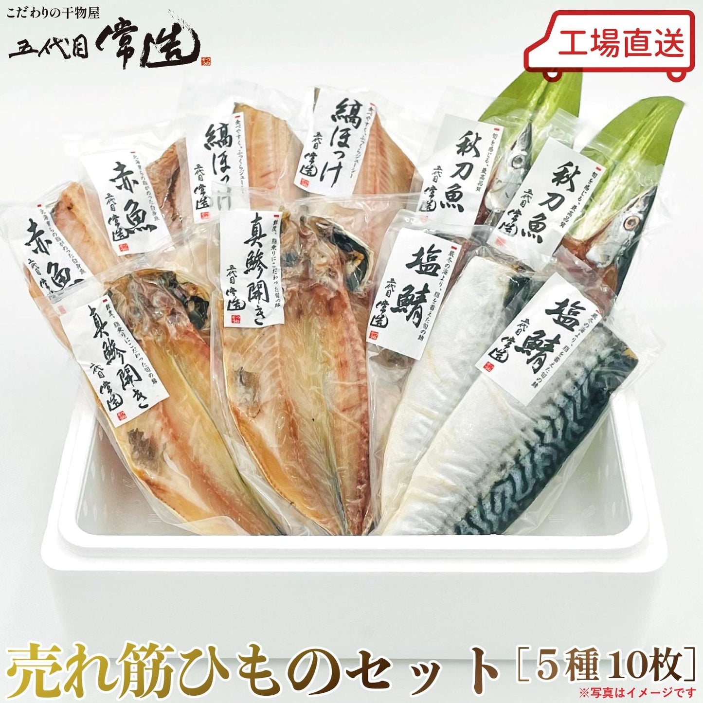 【送料込み】売れ筋ひものセット（5種10パック）