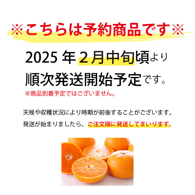 ※今季販売終了※【送料無料】訳あり「小さなせとかちゃん」〈家庭用・小玉〉約3kg　※発送は２月中旬～３月中旬予定