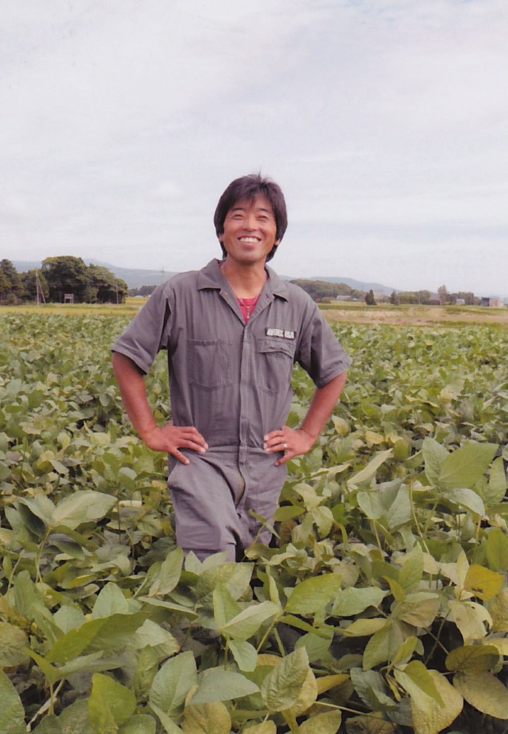 【新米予約受付中】令和7年産特別栽培ななつぼし20kg