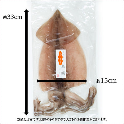 「イカ」の旨みを熟成させる一夜干し加工　イカの一夜干し×5枚（大サイズ）【送料無料】